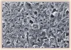 Государственный стандартный образец удельной поверхности ГСО 7912-2001. Электронно-микроскопическое изображение поверхности пористого материала.