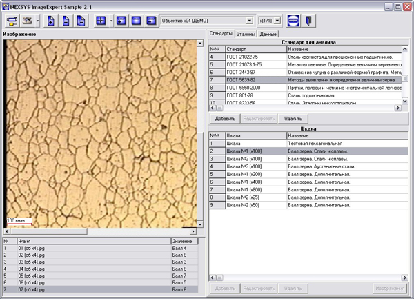 Программное обеспечение для количественного анализа изображений NEXSYS ImageExpert Pro 3 и NEXSYS ImageExpert Sample 2